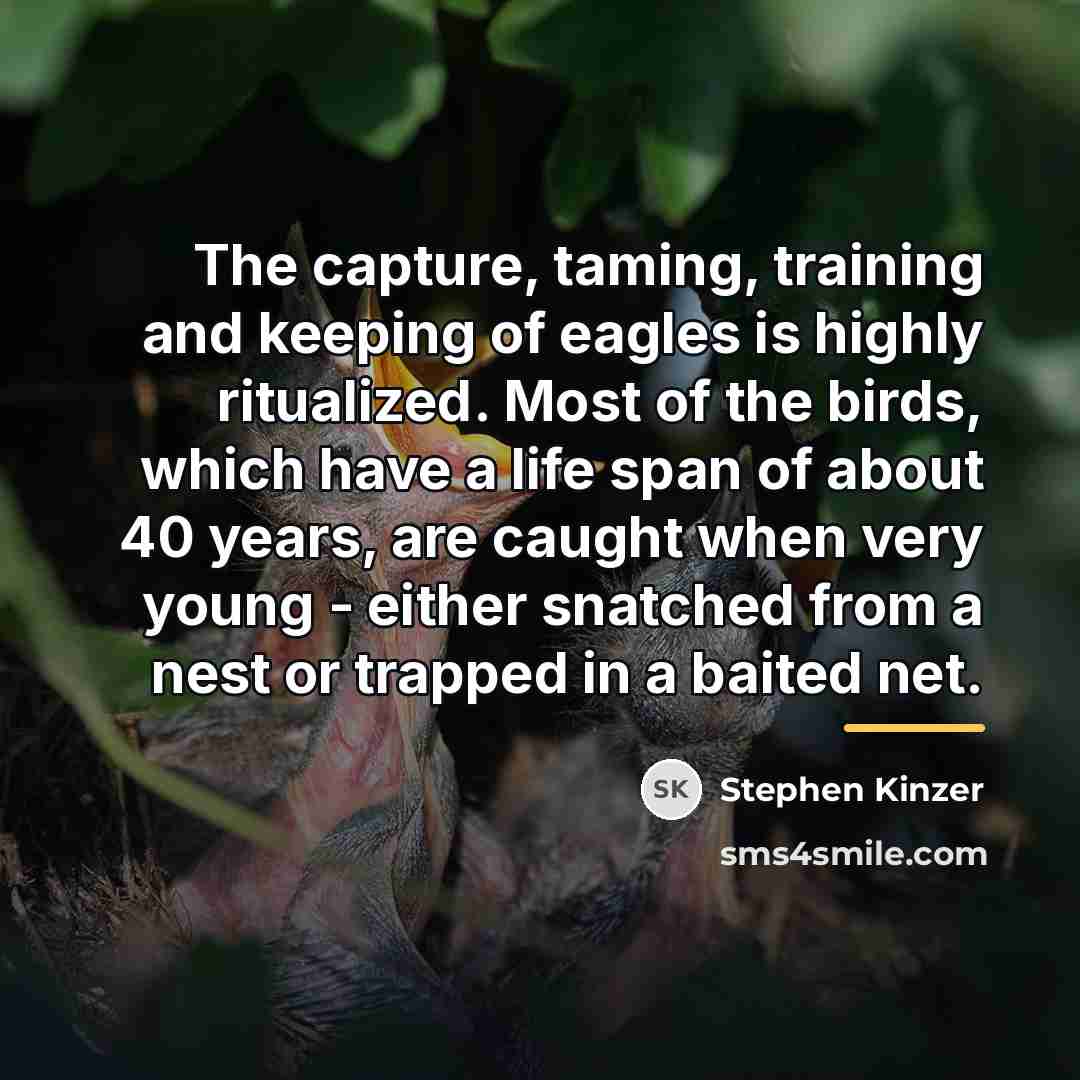 “The capture, taming, training and keeping of eagles is highly…” quote by Stephen Kinzer