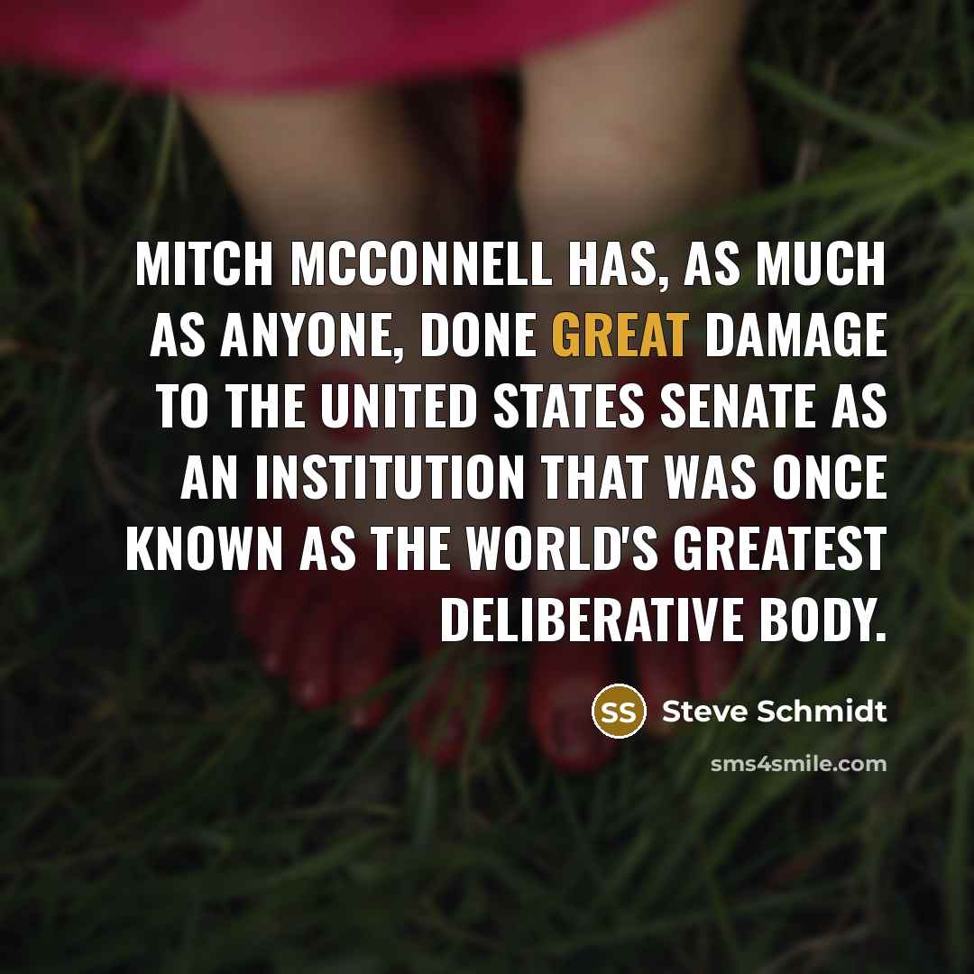 “Mitch McConnell has, as much as anyone, done great damage…” quote by Steve Schmidt