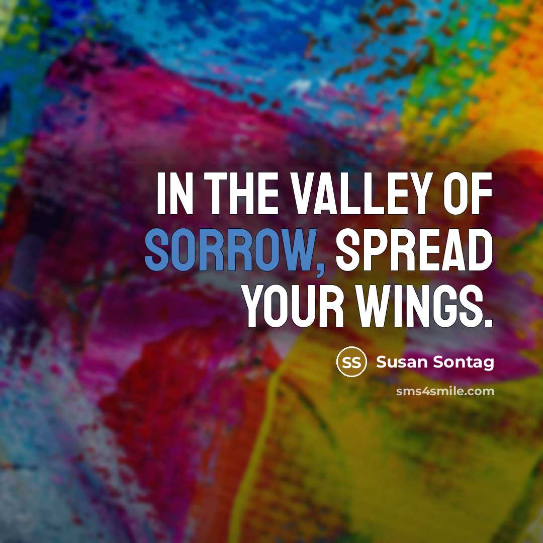 “In the valley of sorrow, spread your wings.…” quote by Susan Sontag