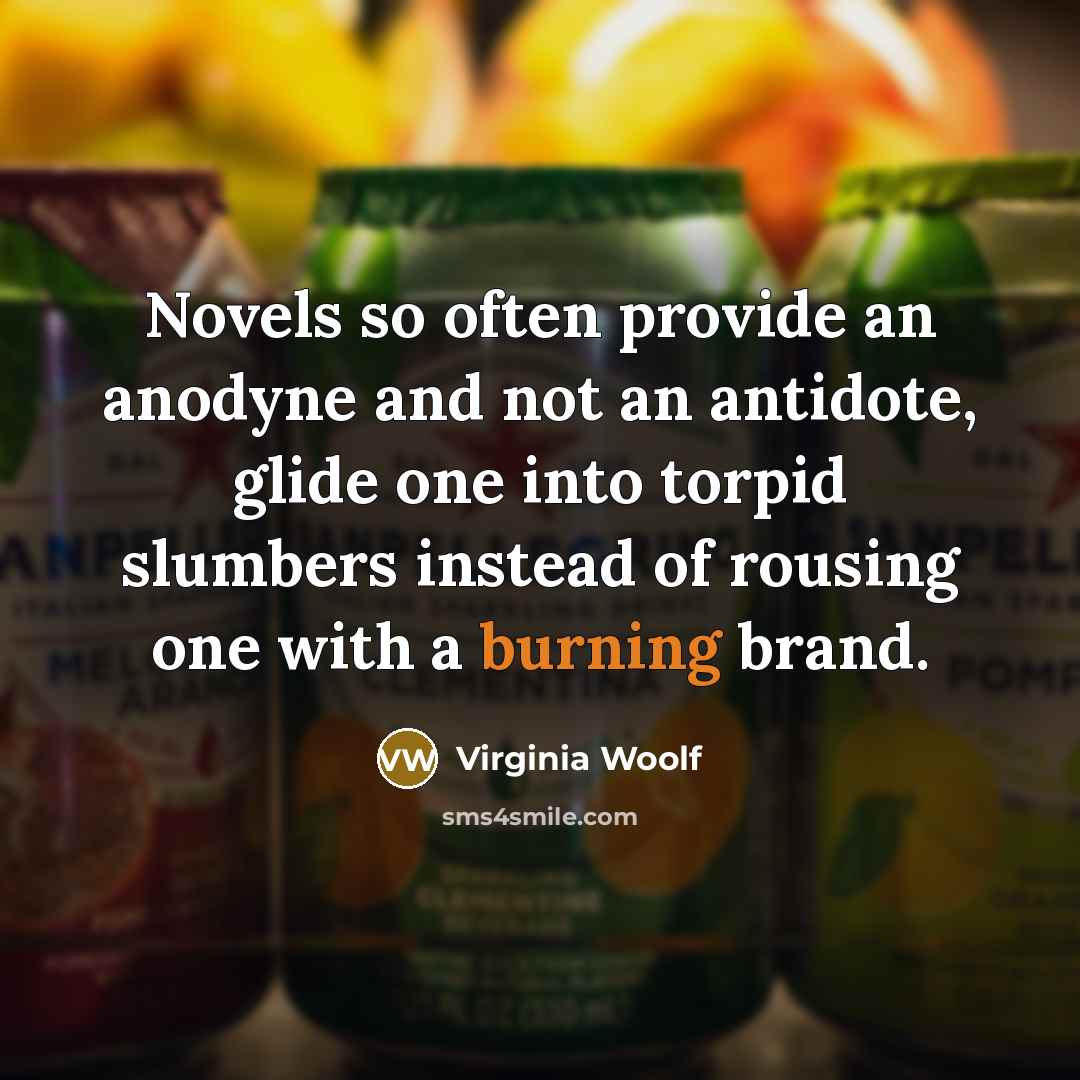 “Novels so often provide an anodyne and not an antidote,…” quote by Virginia Woolf
