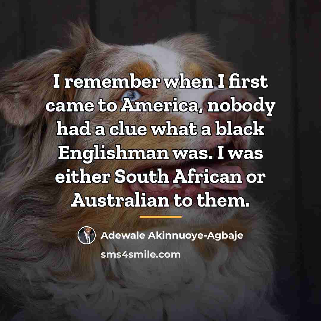 “I remember when I first came to America, nobody had…” quote by Adewale Akinnuoye-Agbaje