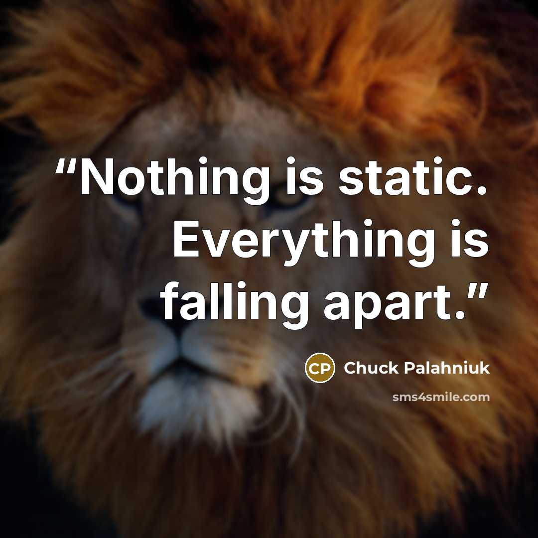 “Nothing is static. Everything is falling apart.” quote by Chuck Palahniuk