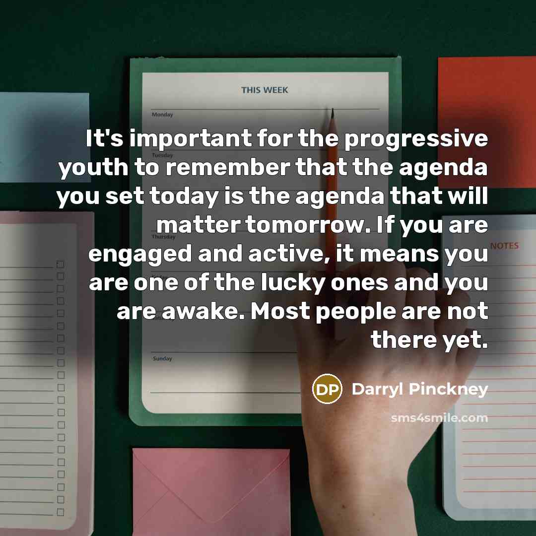 “It's important for the progressive youth to remember that the…” quote by Darryl Pinckney