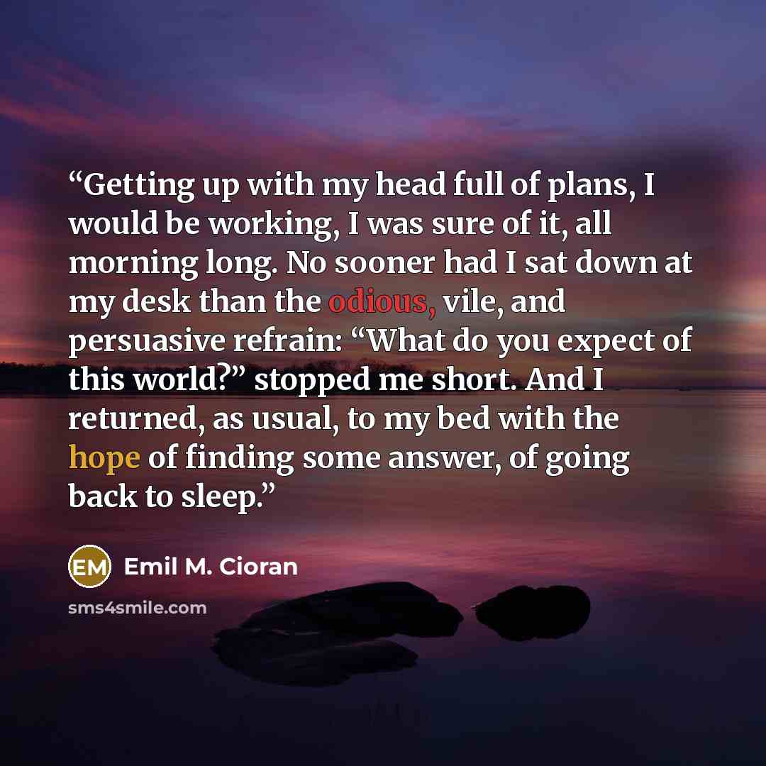 “Getting up with my head full of plans, I would be working, I was sure of it, all morning long. No sooner had I sat down at my desk than the odious, vile, and persuasive refrain: “What do you expect of this world?” stopped me short. And I returned, as usual, to my bed with the hope of finding some…” quote by Emil M. Cioran