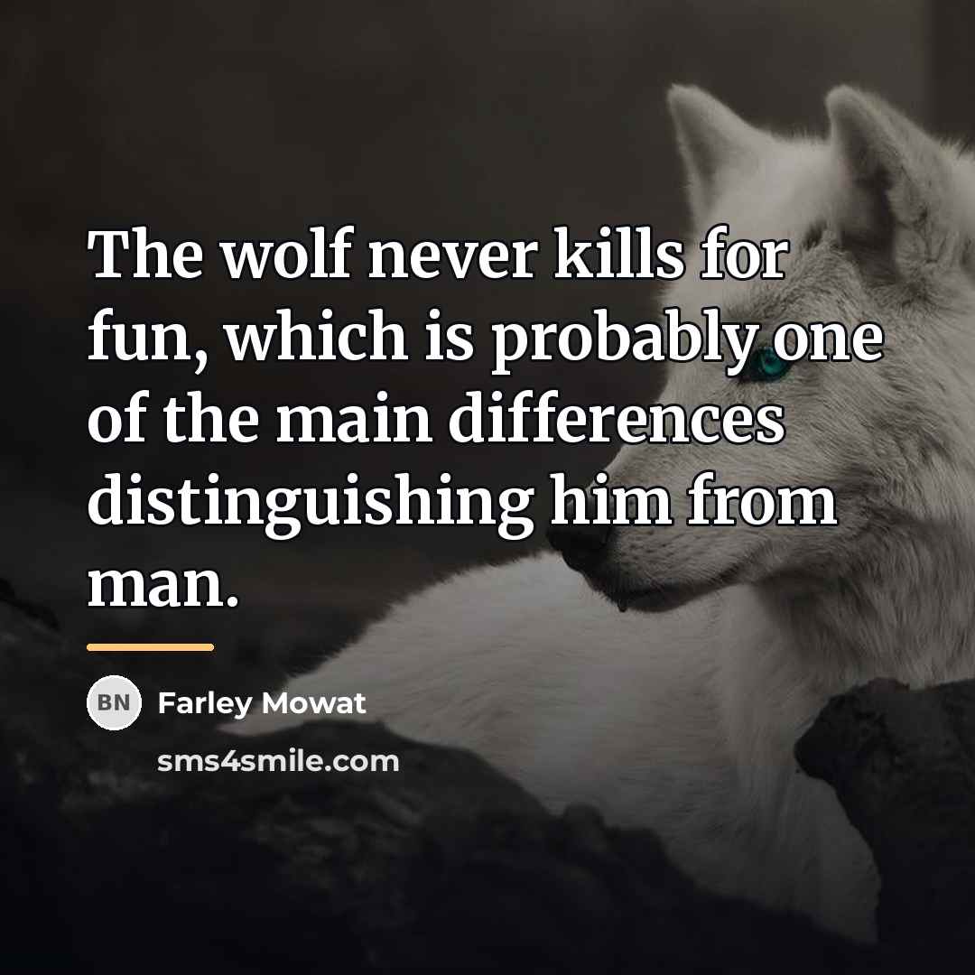 “The wolf never kills for fun, which is probably one…” quote by Farley Mowat