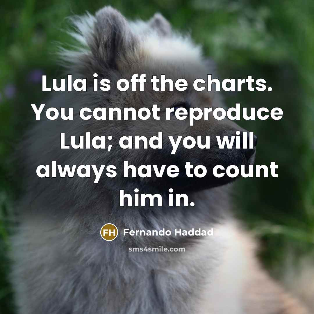 “Lula is off the charts. You cannot reproduce Lula; and…” quote by Fernando Haddad