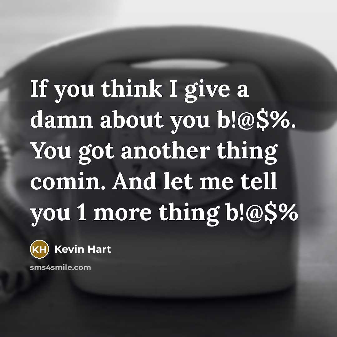 “If you think I give a damn about you b!@$%.…” quote by Kevin Hart