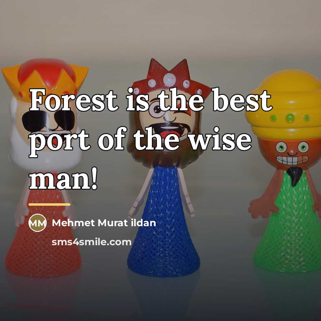 “Forest is the best port of the wise man!…” quote by Mehmet Murat Ildan