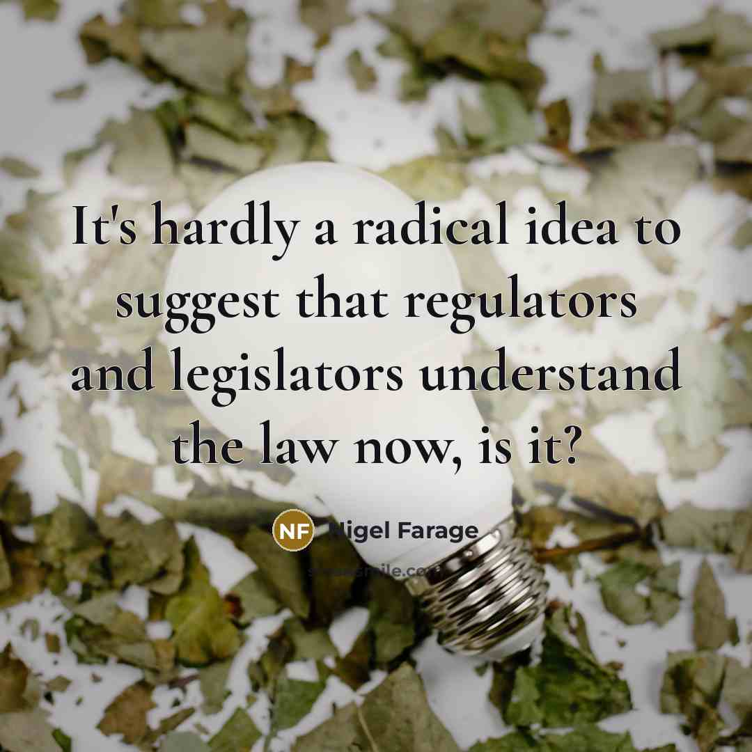 “It's hardly a radical idea to suggest that regulators and…” quote by Nigel Farage