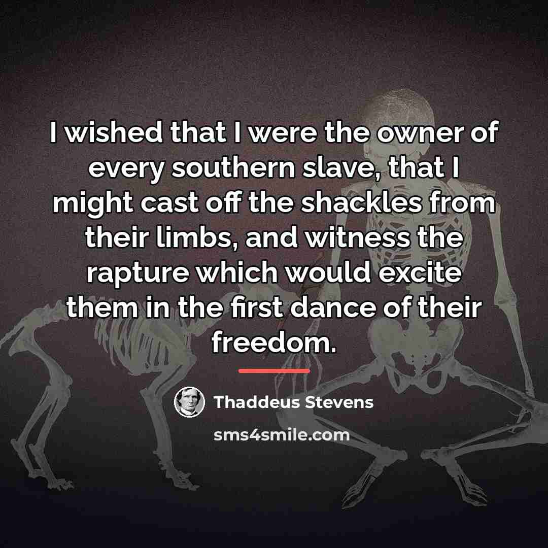 “I wished that I were the owner of every southern…” quote by Thaddeus Stevens