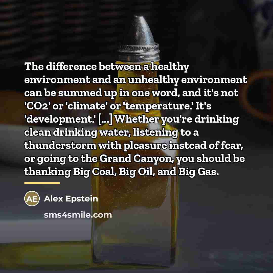 “The difference between a healthy environment and an unhealthy environment…” quote by Alex Epstein