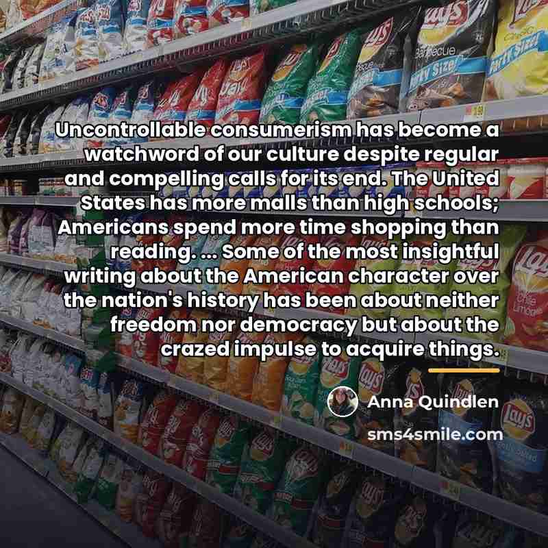 “Uncontrollable consumerism has become a watchword of our culture despite…” quote by Anna Quindlen