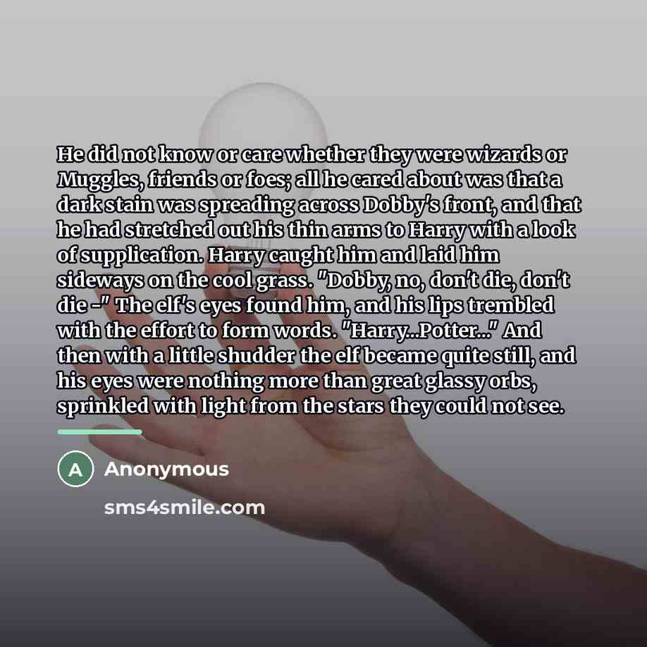 “He did not know or care whether they were wizards…” quote by Anonymous