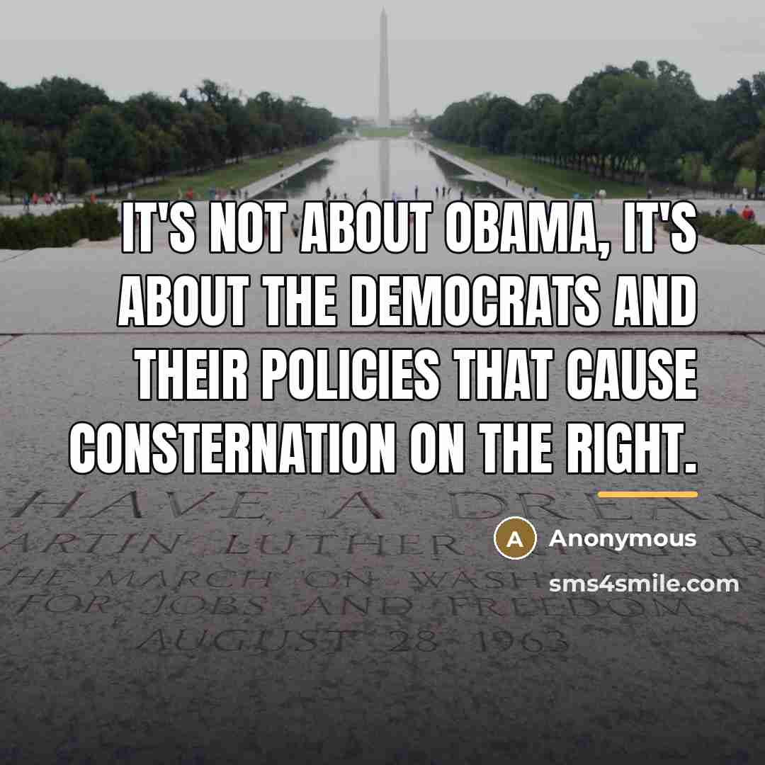 “It's not about Obama, it's about the Democrats and their…” quote by Anonymous