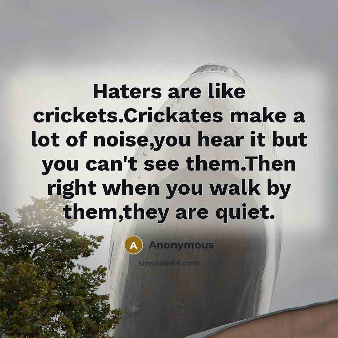“Haters are like crickets.Crickates make a lot of noise,you hear it but you can't see them.Then right when you walk by them,they are quiet.” quote by Anonymous