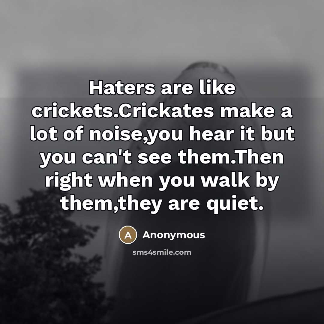 “Haters are like crickets.Crickates make a lot of noise,you hear it but you can't see them.Then right when you walk by them,they are quiet.” quote by Anonymous