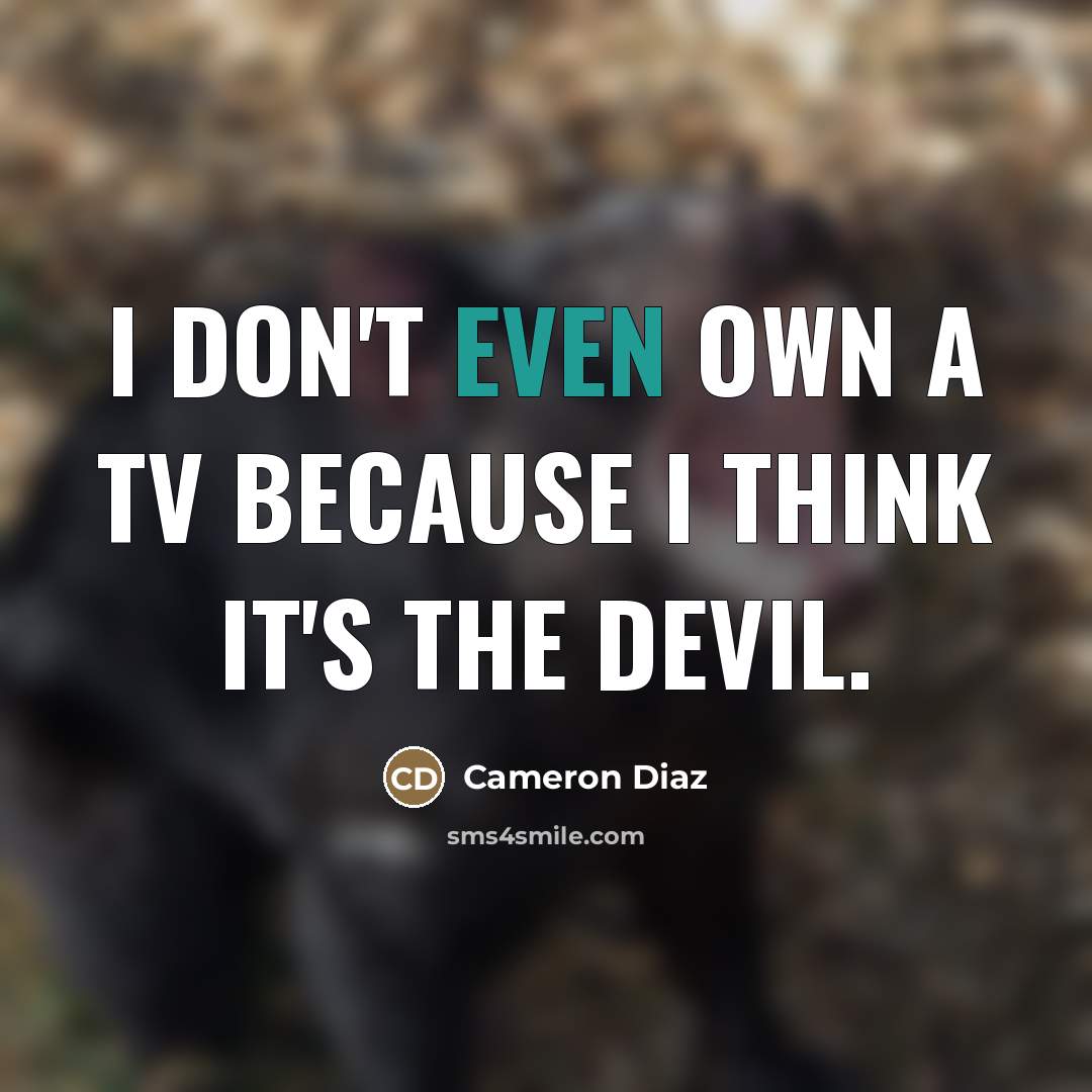 “I don't even own a TV because I think it's…” quote by Cameron Diaz