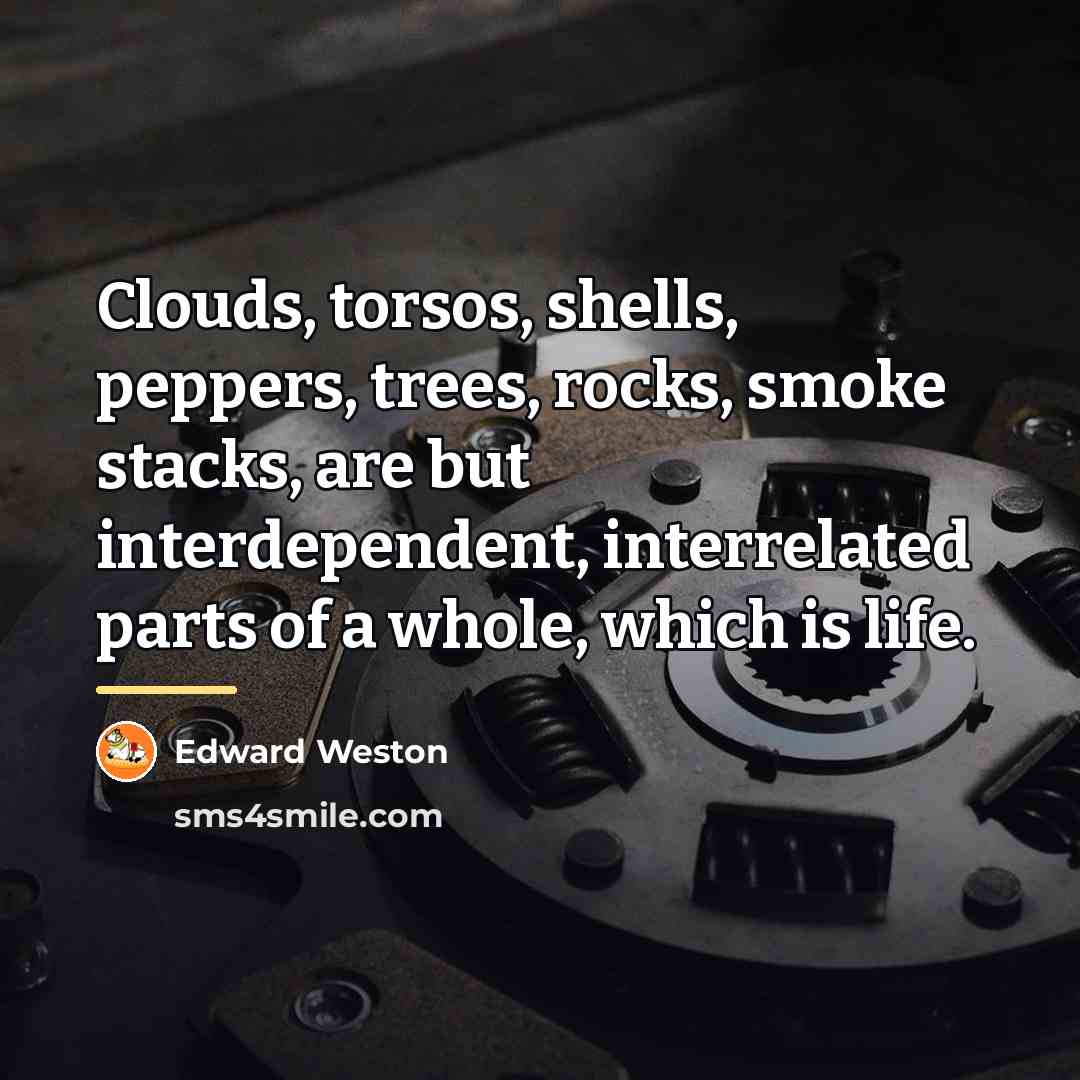 “Clouds, torsos, shells, peppers, trees, rocks, smoke stacks, are but…” quote by Edward Weston