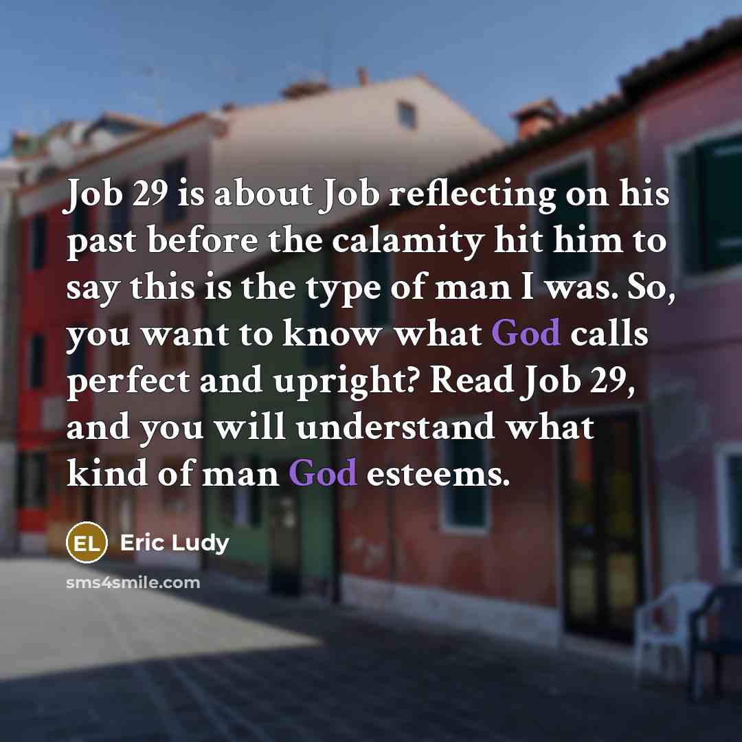 “Job 29 is about Job reflecting on his past before…” quote by Eric Ludy