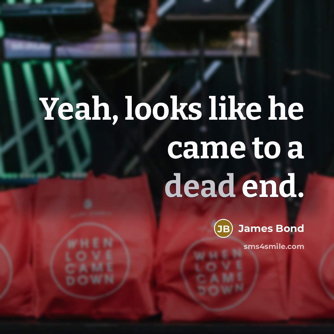 “Yeah, looks like he came to a dead end.…” quote by James Bond
