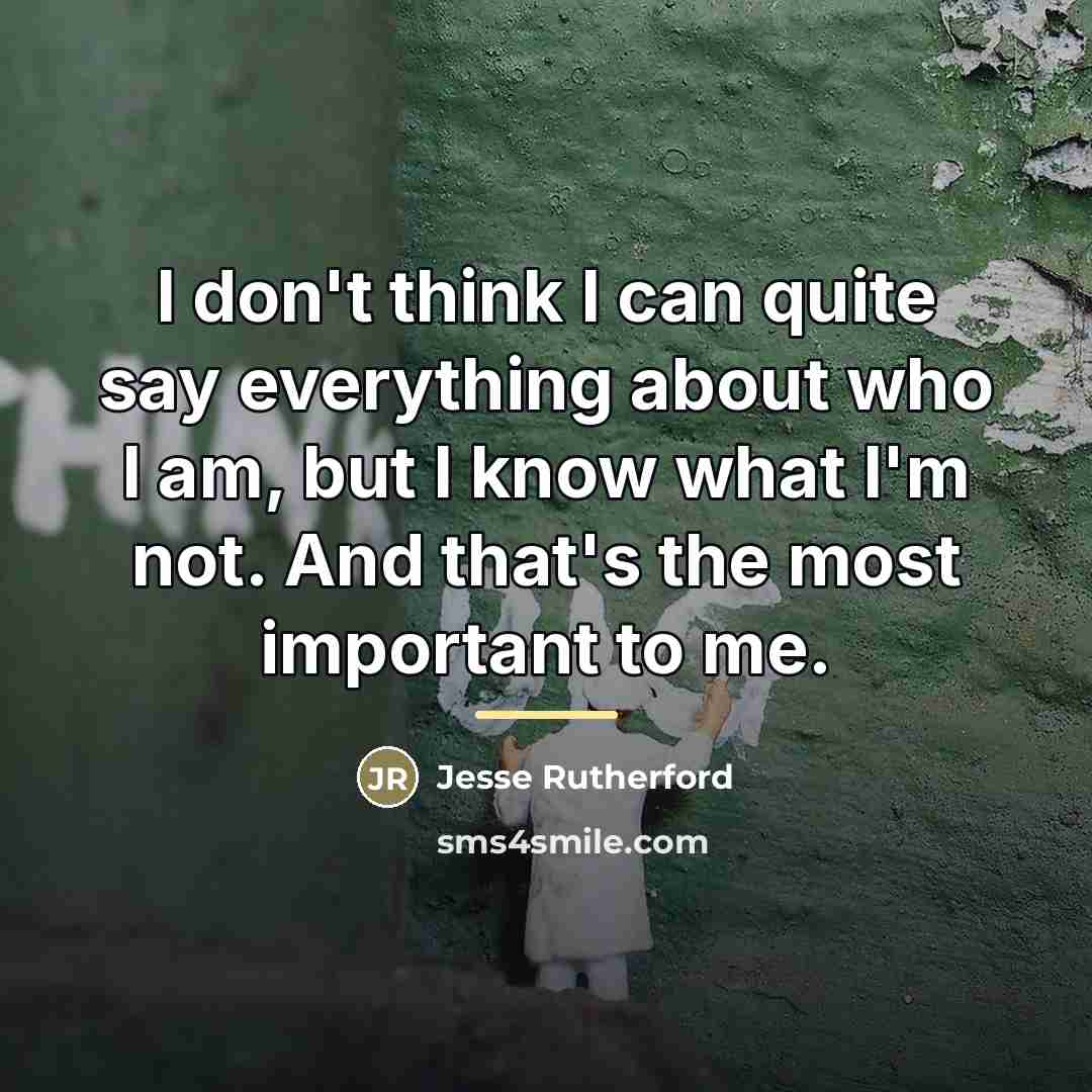 “I don't think I can quite say everything about who…” quote by Jesse Rutherford