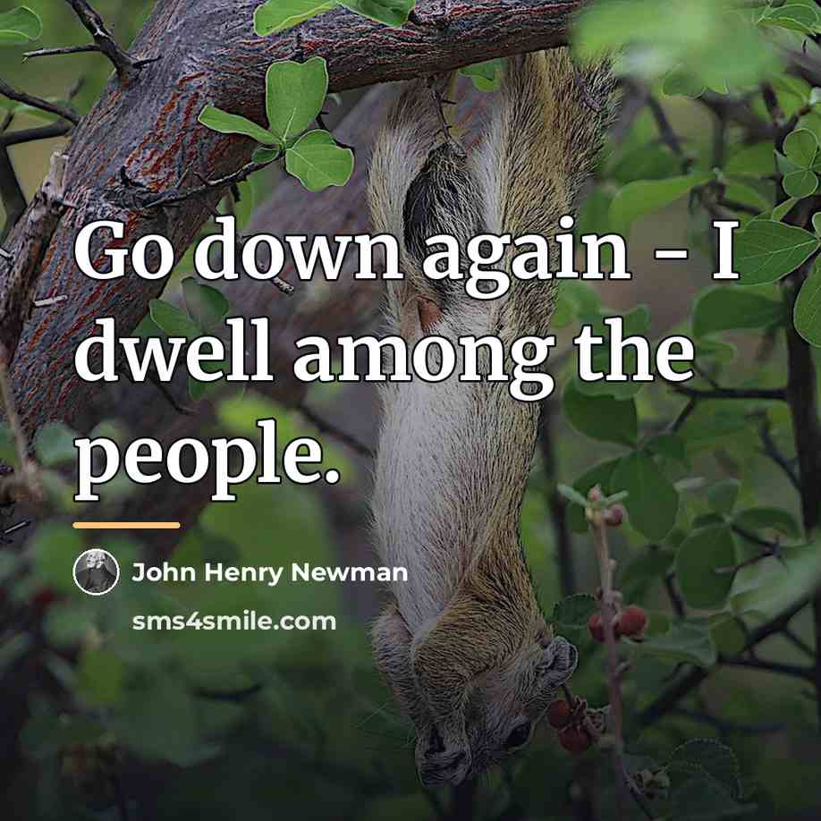 “Go down again - I dwell among the people.…” quote by John Henry Newman