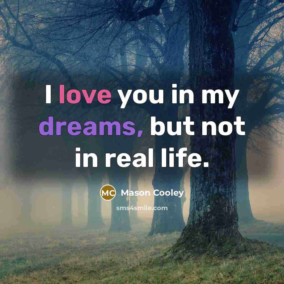 “I love you in my dreams, but not in real…” quote by Mason Cooley