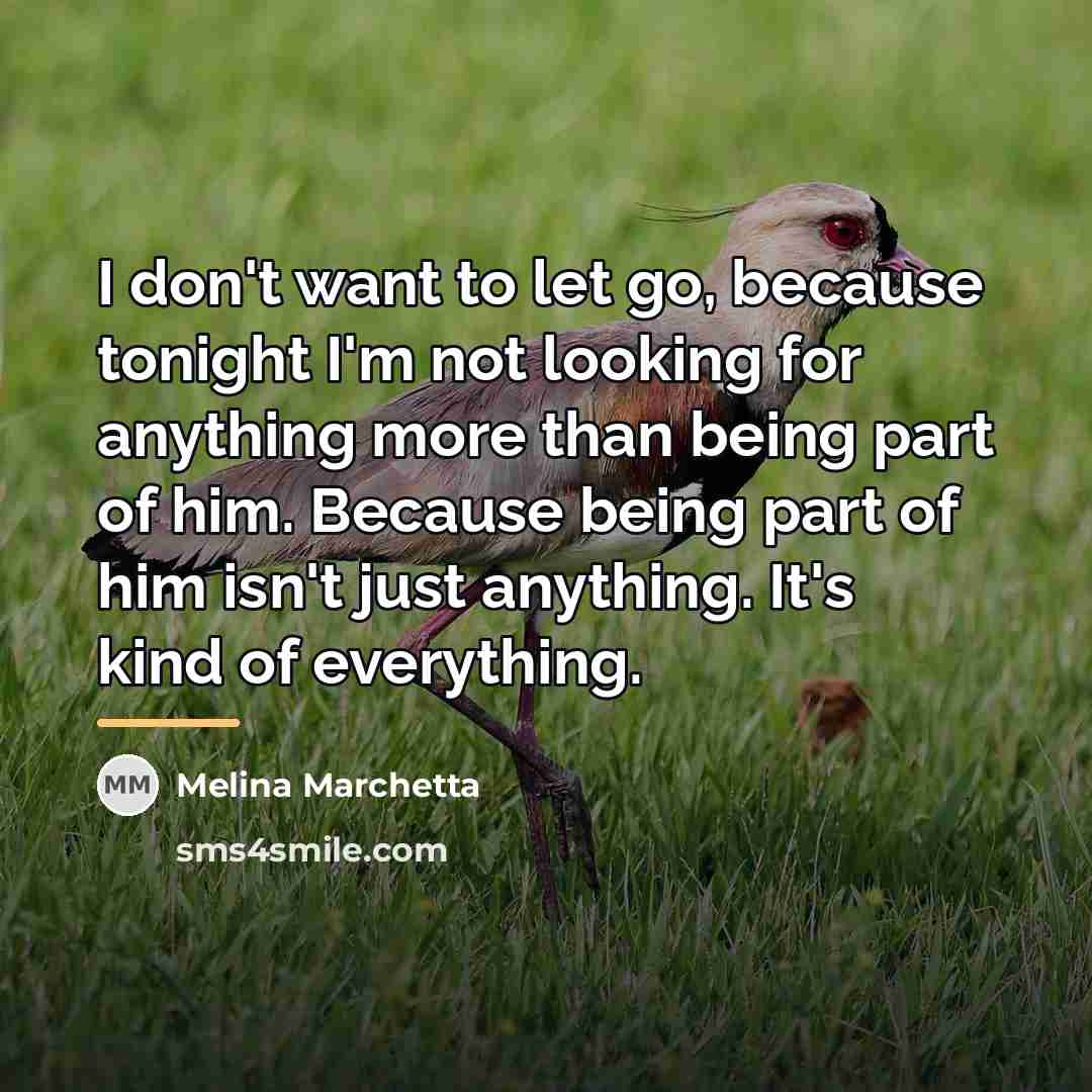 “I don't want to let go, because tonight I'm not…” quote by Melina Marchetta