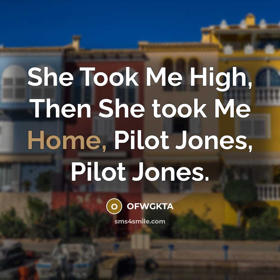 “She Took Me High, Then She took Me Home, Pilot…” quote by OFWGKTA