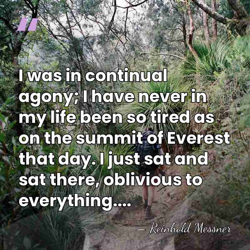 I was in continual agony; I have never in my life been&hellip; - Reinhold Messner