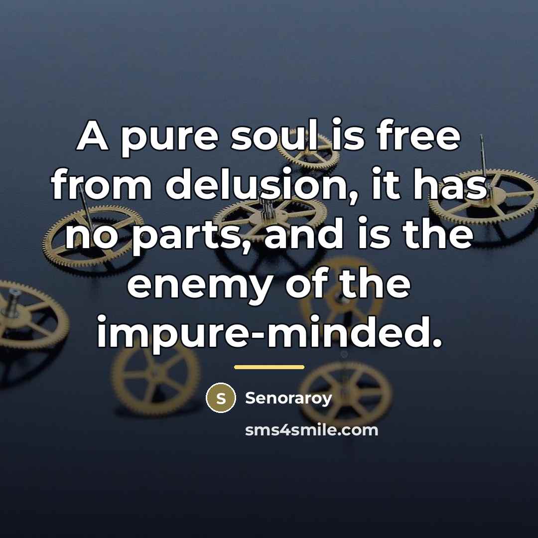 “A pure soul is free from delusion, it has no…” quote by Senoraroy