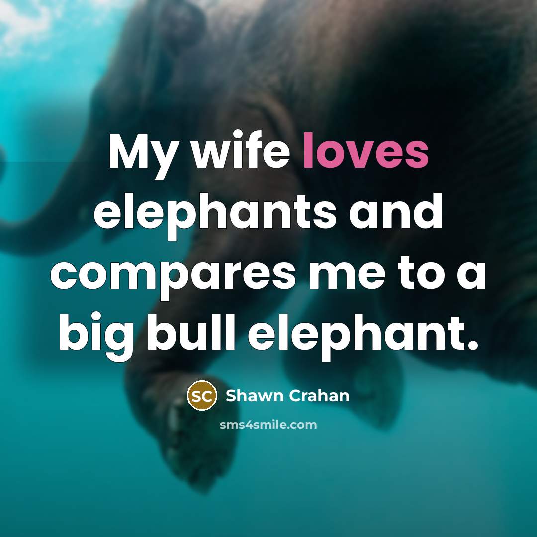 “My wife loves elephants and compares me to a big…” quote by Shawn Crahan