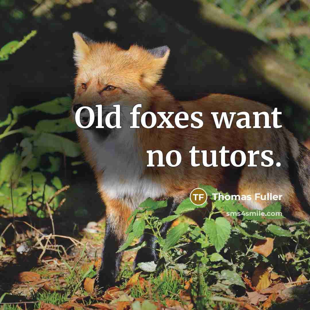 “Old foxes want no tutors.…” quote by Thomas Fuller