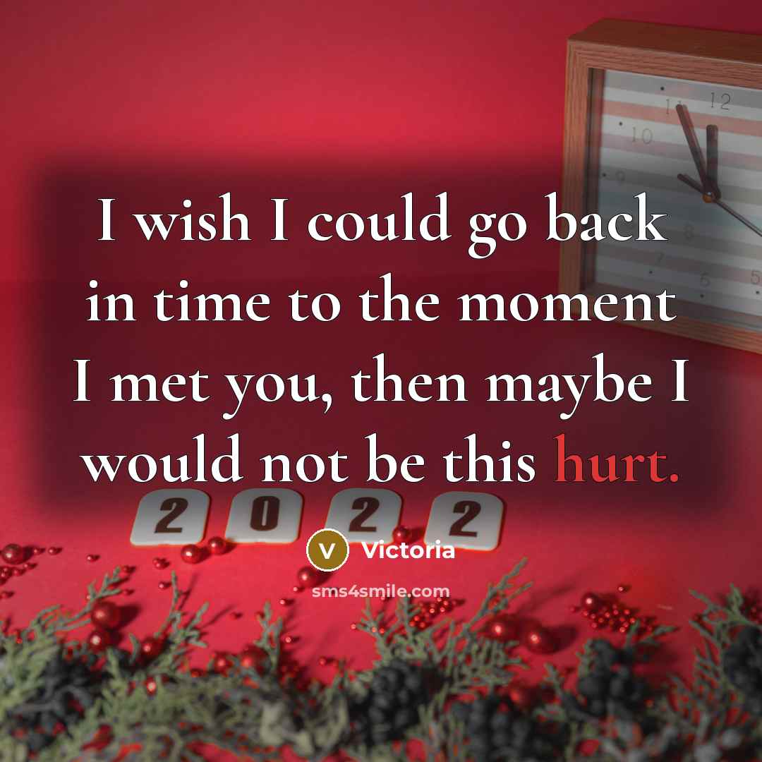 “I wish I could go back in time to the moment I met you, then maybe I would not be this hurt.” quote by Victoria