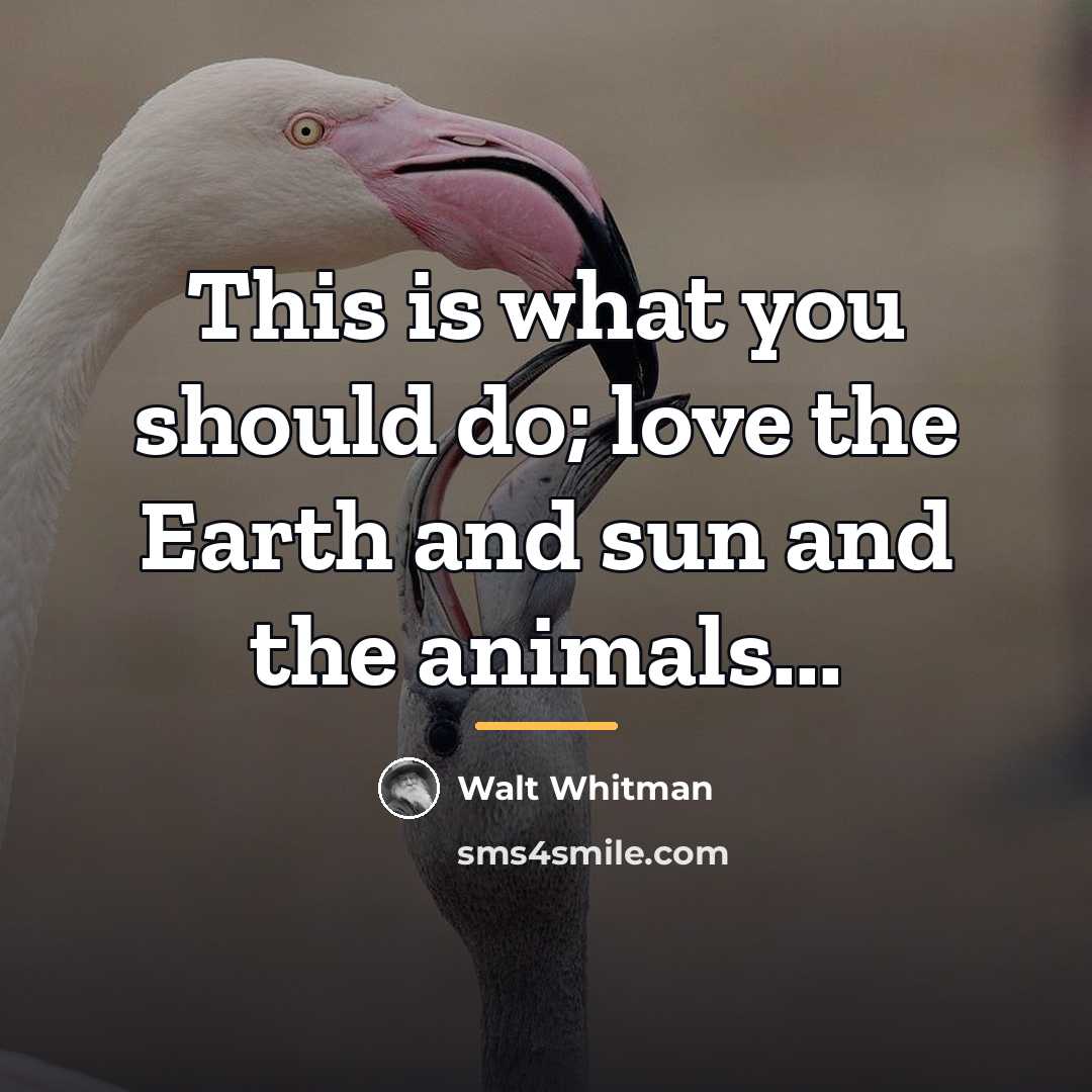 “This is what you should do; love the Earth and…” quote by Walt Whitman