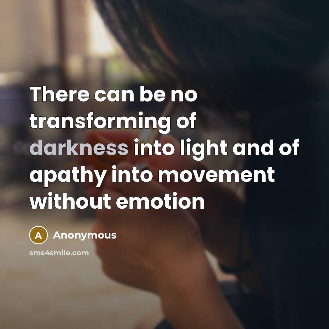 “There can be no transforming of darkness into light and…” quote by Anonymous