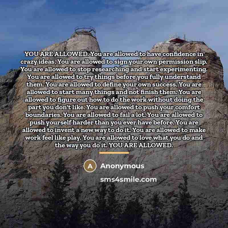 “YOU ARE ALLOWED. You are allowed to have confidence in…” quote by Anonymous