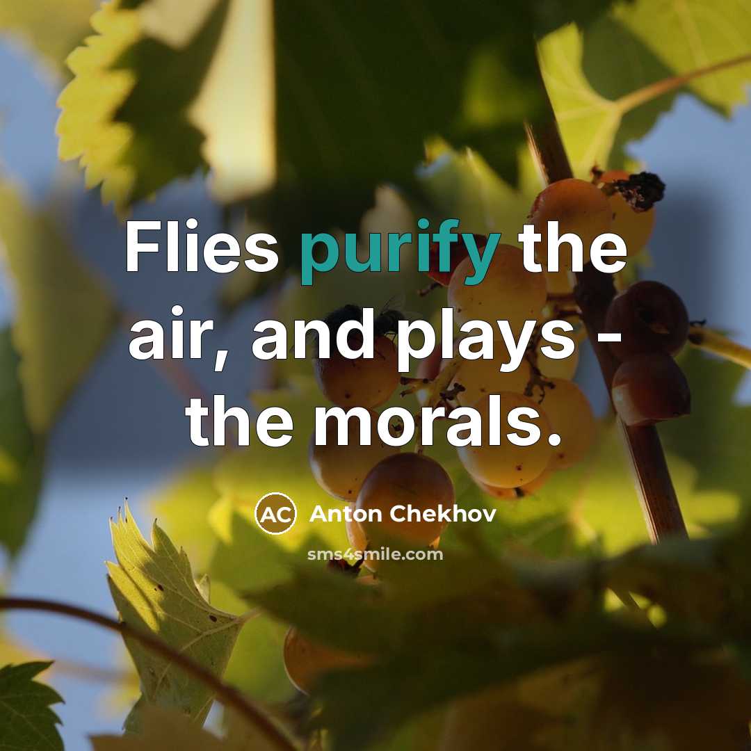 “Flies purify the air, and plays - the morals.…” quote by Anton Chekhov