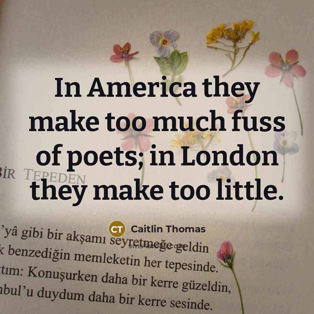 “In America they make too much fuss of poets; in…” quote by Caitlin Thomas