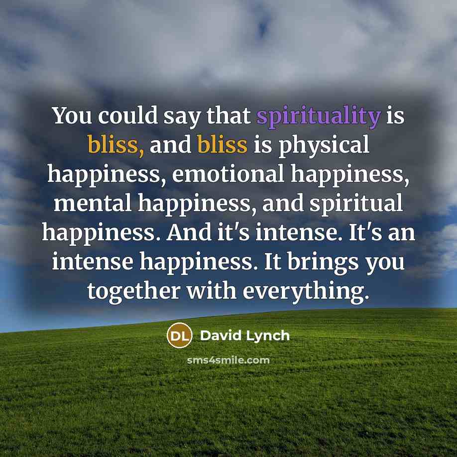 “You could say that spirituality is bliss, and bliss is…” quote by David Lynch
