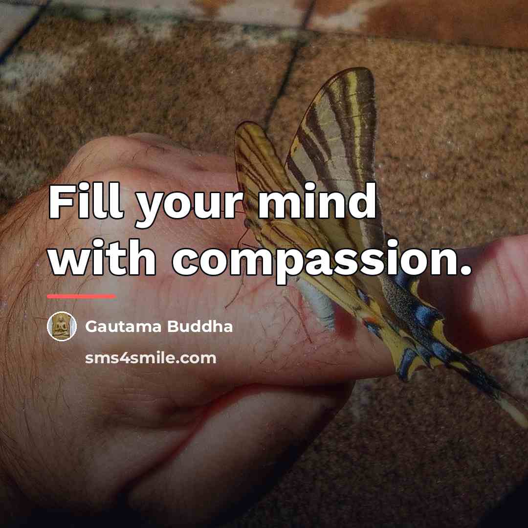 “Fill your mind with compassion.…” quote by Gautama Buddha