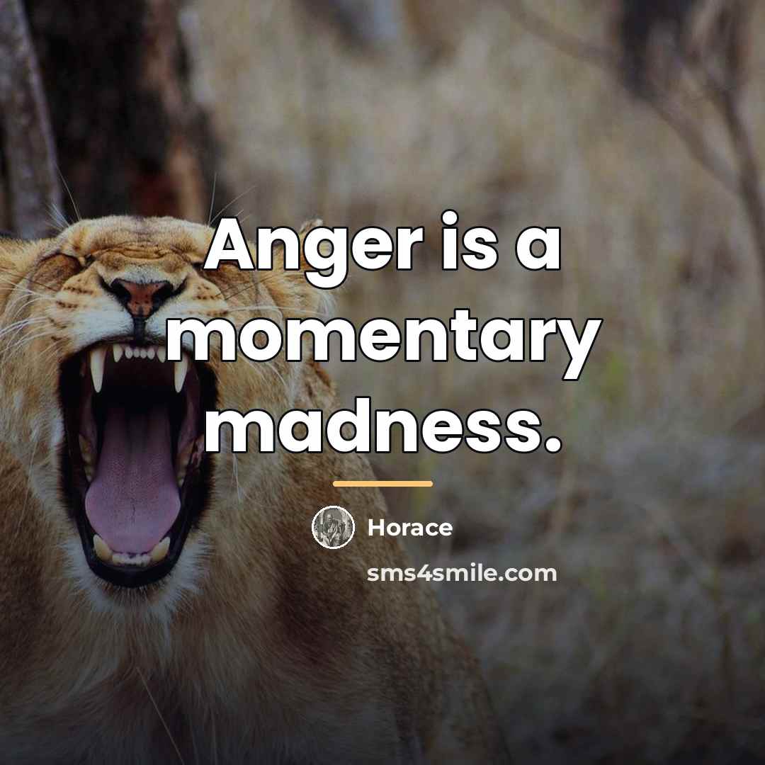 “Anger is a momentary madness.…” quote by Horace