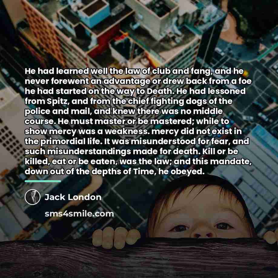 “He had learned well the law of club and fang,…” quote by Jack London
