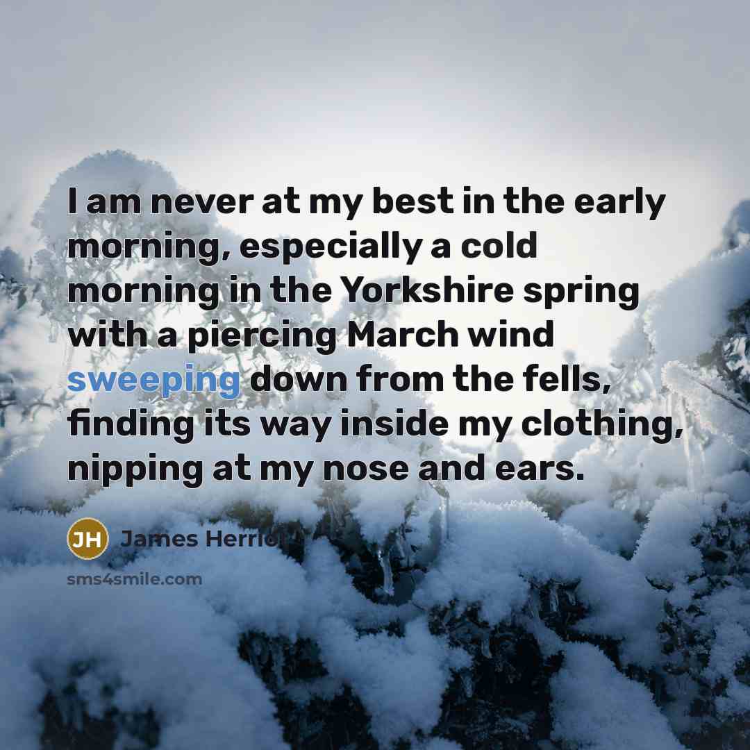 “I am never at my best in the early morning,…” quote by James Herriot