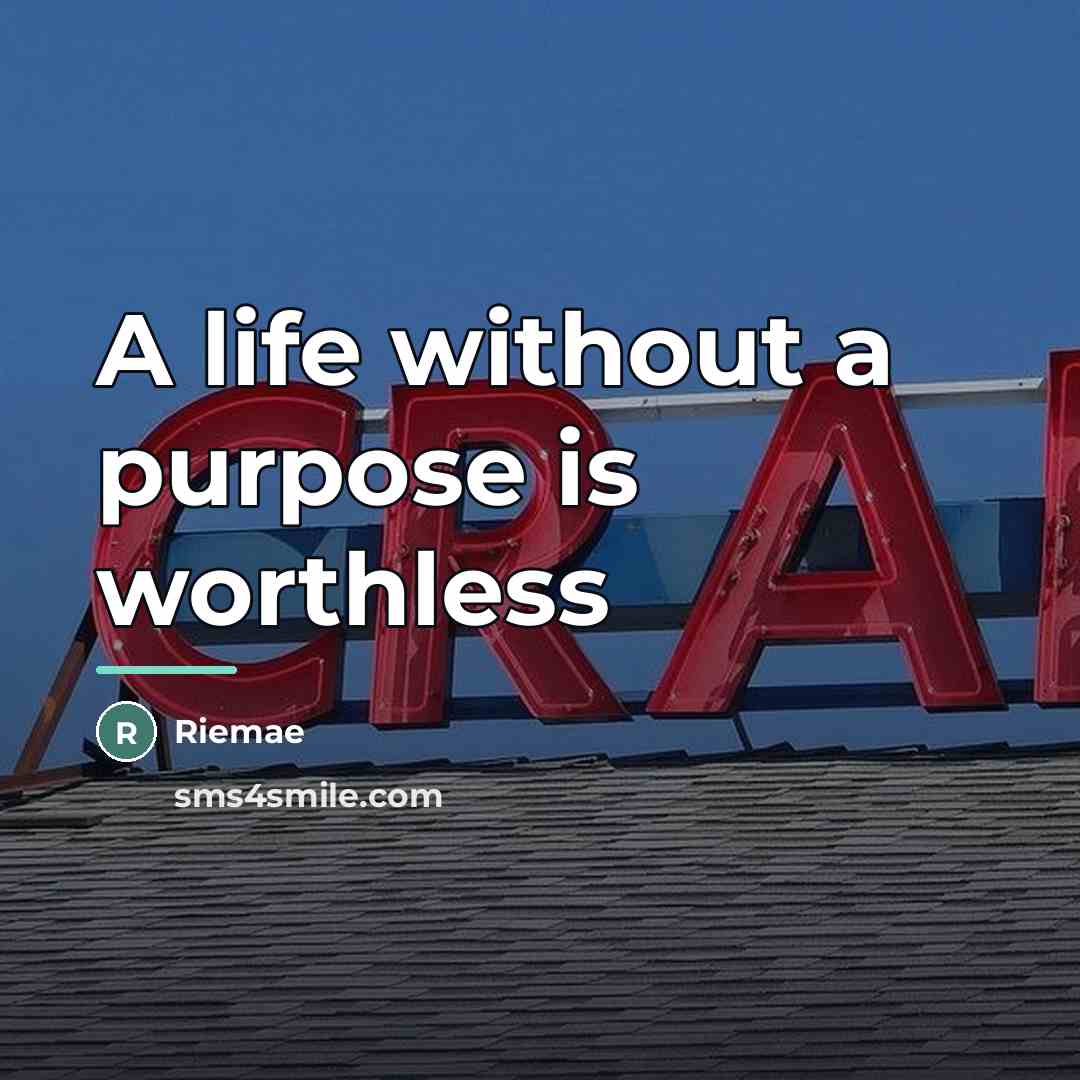 “A life without a purpose is worthless…” quote by Riemae