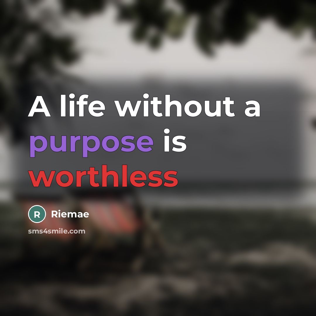 “A life without a purpose is worthless” quote by Riemae