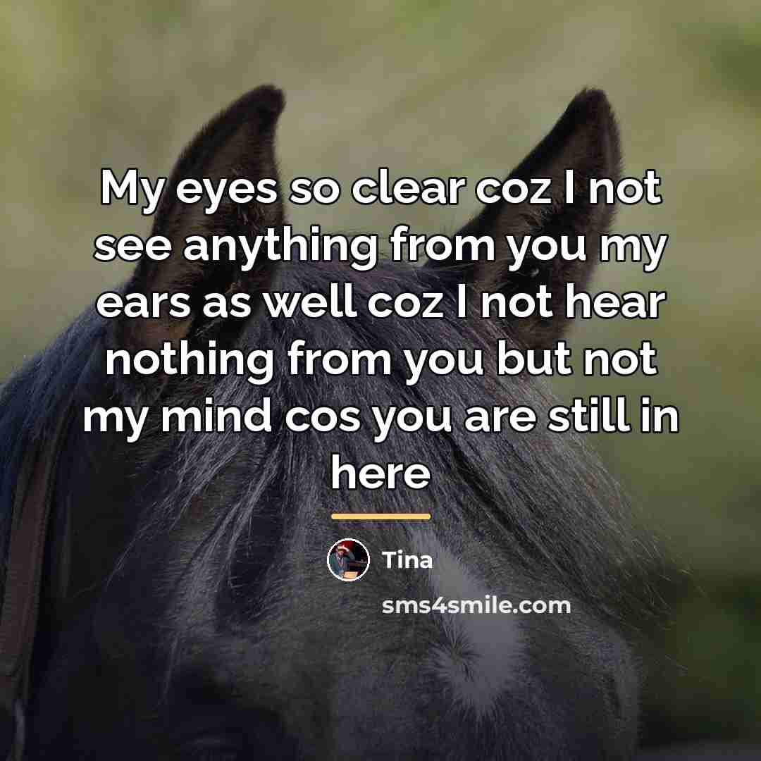 “My eyes so clear coz I not see anything from…” quote by Tina