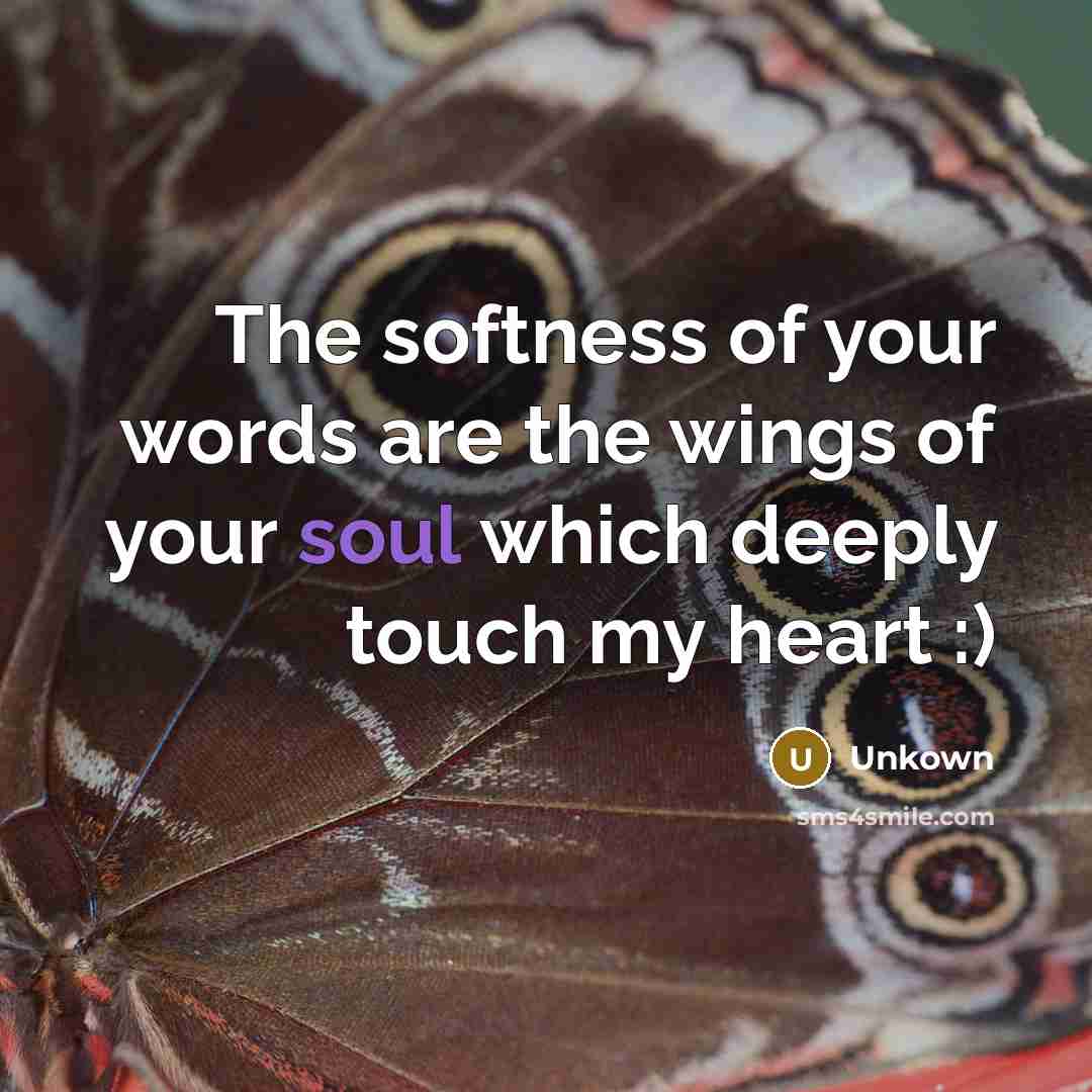 “The softness of your words are the wings of your…” quote by Unkown