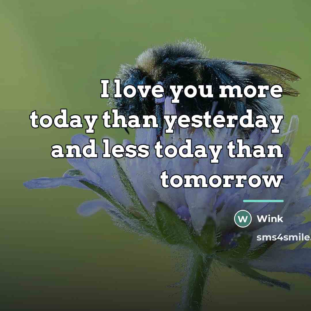 “I love you more today than yesterday and less today…” quote by Wink