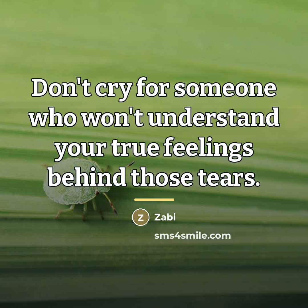 “Don't cry for someone who won't understand your true feelings…” quote by Zabi